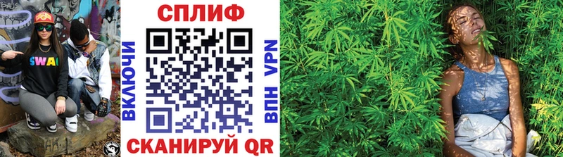 Марихуана OG Kush  как найти   Кириши 